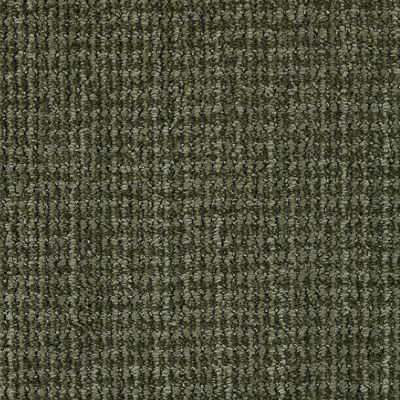 Masland Neutral Patterned Temperate MAS-9636547