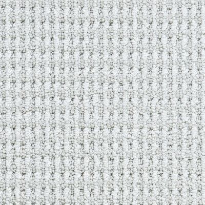 Masland Wilkins Patterned Frosted Glass MAS-9648821