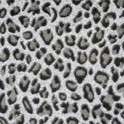 Kane Carpet Basilisk Natural History BAS-NATURALHISTORY