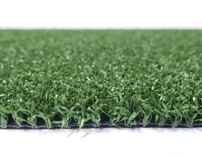 Shaw Grass Spring Choice 1 Lawn IS-150SG-300