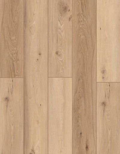 Lions Floor Bambino Vienna Toast BB-XVII