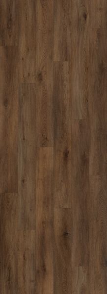 Lions Floor Bambino Truffle Grove BB-XVIII