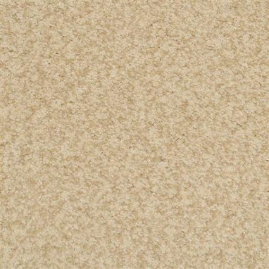 Masland Carpets & Rugs Chromatic Touch Birch 2368-11406