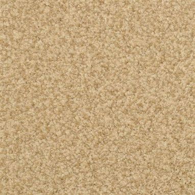 Masland Carpets & Rugs Chromatic Touch Hemp 2368-24207