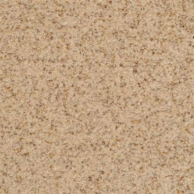 Masland Carpets & Rugs Chromatic Touch Oatmeal 2368-25217
