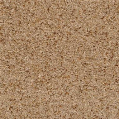 Masland Carpets & Rugs Chromatic Touch Sandstone 2368-36213