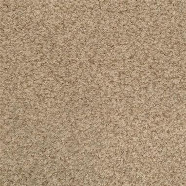 Masland Carpets & Rugs Chromatic Touch Marshland 2368-76719