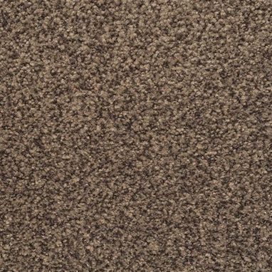 Masland Carpets & Rugs Chromatic Touch Blackened 2368-89824