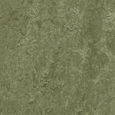 Forbo Marmoleum Click Cinch Loc Pine Forest FOR-184868