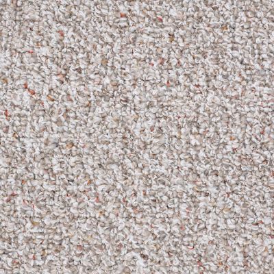 Pure Waters Shaw Floors  Pebble Path 52H11-701