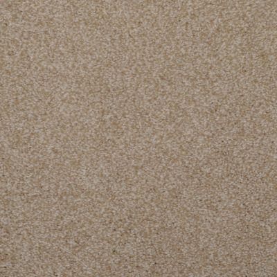 Toulon Lasting Luxury  NEW TAUPE LL_5908-27510