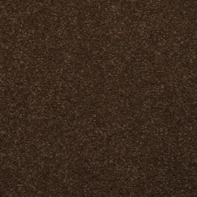 Toulon Lasting Luxury  MARSH BROWN LL_5908-77506