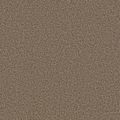 Shaw Floors Blazer (b) Pier Walk GF28200710