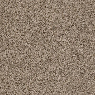 Shaw Floors Blazer (t) Blond Wood GF27800113