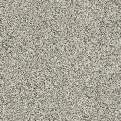 Shaw Floors Blazer (t) Snow Peak GF27800120