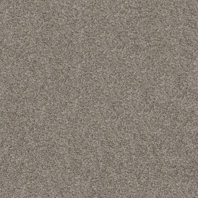 Shaw Floors Blazer (t) Exposed Beam GF27800510