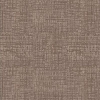 Next Floor Invincible II 851 Tortoise NF-851-107