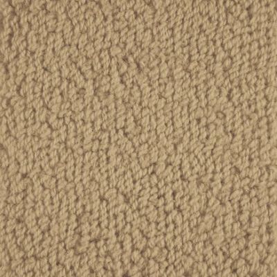 Masland Carpets & Rugs Novellino Toffee 9215-527