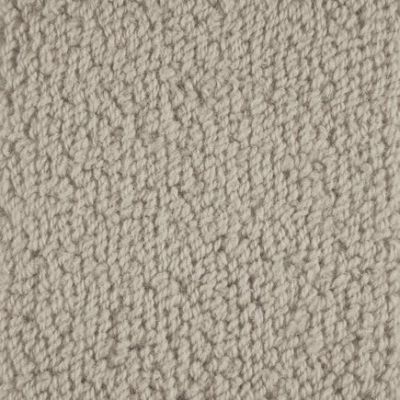 Masland Carpets & Rugs Novellino Silver Birch 9215-601