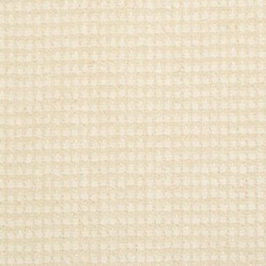 Masland Carpets & Rugs Classique Neutrino 9272-111