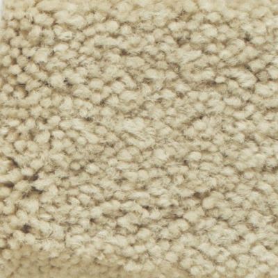 Masland Carpets & Rugs Americana Snow Cap 9439-23