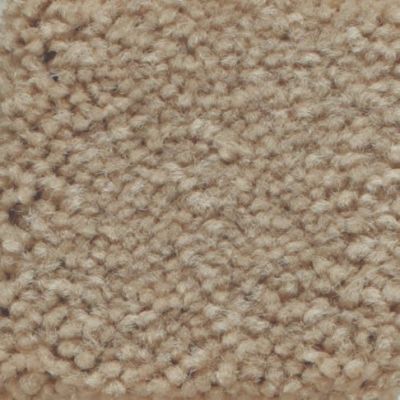 Masland Carpets & Rugs Americana Sonora 9439-518