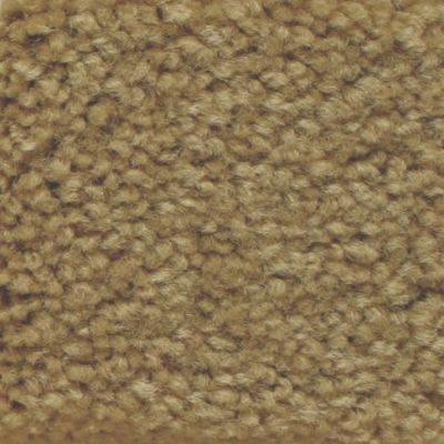 Masland Carpets & Rugs Americana Topaz 9439-611