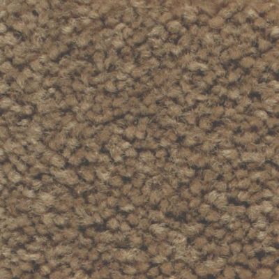 Masland Carpets & Rugs Americana Bighorn 9439-646