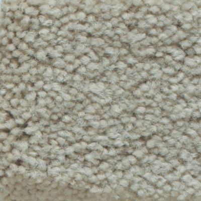 Masland Carpets & Rugs Americana Foam 9439-712
