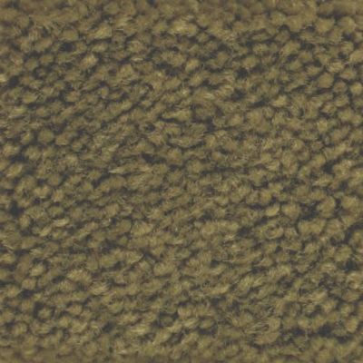 Masland Carpets & Rugs Americana Teton 9439-772