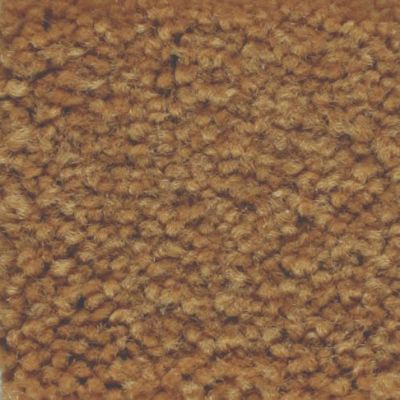 Masland Carpets & Rugs Americana Adobe 9439-926