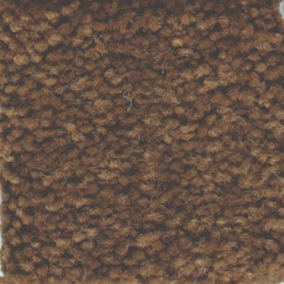 Masland Carpets & Rugs Americana Coati 9439-965