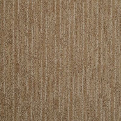 Masland Carpets & Rugs Artistic Vision Neutrino 9516-224