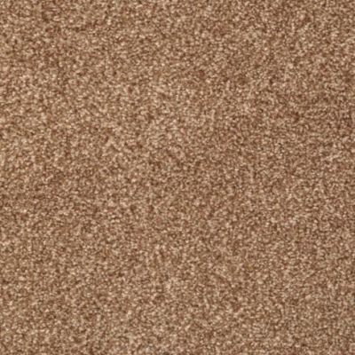 Masland Carpets & Rugs Beacon Hill Truffle 9527-775