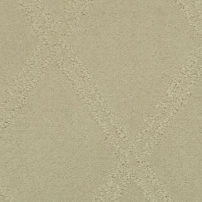 Masland Carpets & Rugs Braided Opulence Simply Taupe 9542-247