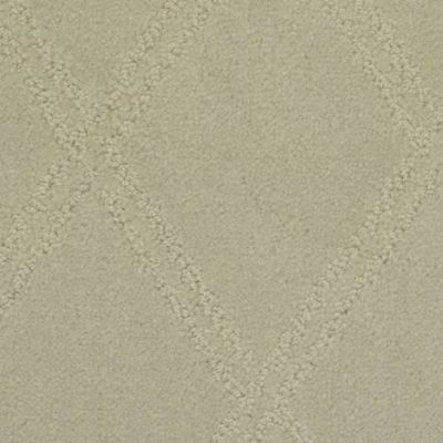 Masland Carpets & Rugs Braided Opulence Flannel 9542-842