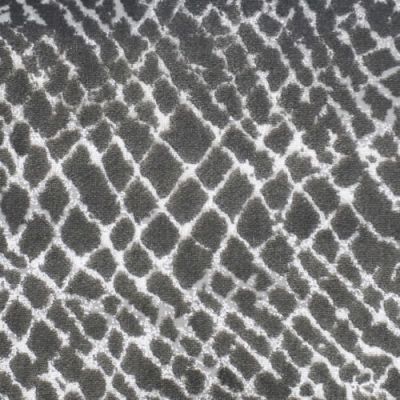 Kane Carpet Accomplishment Paramount ACC-PARAMOUNT