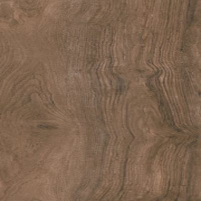 Florida Tile Comfort Brown B678.0064.005Z