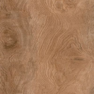 Florida Tile Comfort Ginger B678.0064.060Z