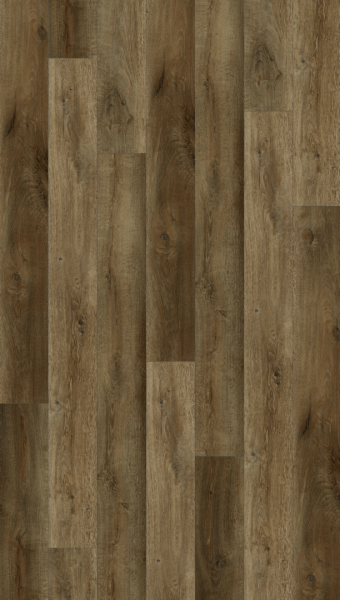 Lions Floor Bambino Ganache BB-III
