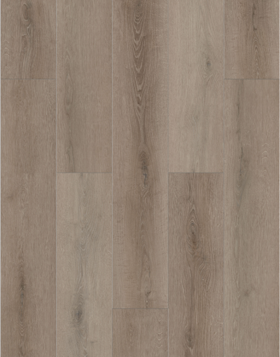Lions Floor Bambino Coffee Feather BB-VI
