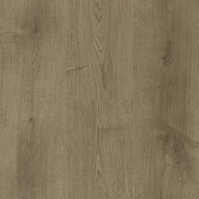 Tas Flooring Barbizon Chateau Tan NE58-7207