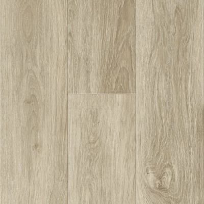 Titan Surfaces Colossal Murmillo 6004