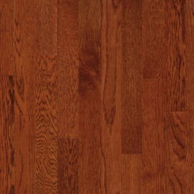 Bruce Natural Choice Amber C5060