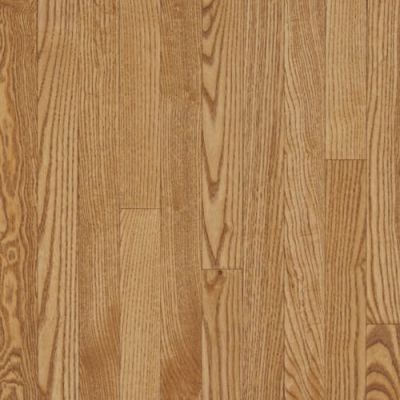 Bruce Dundee Strip 2 1/4 In – Spice CB214