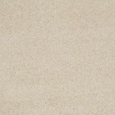 Caress By Shaw Floors Cashmere III Cheviot CCS0300104