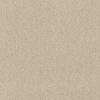 Caress By Shaw Floors Cashmere Iv Cheviot CCS0400104