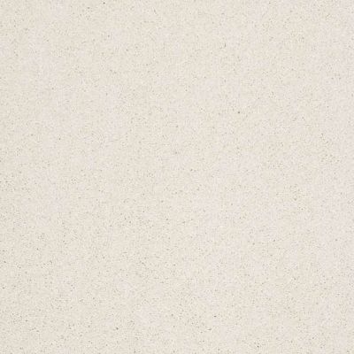 Caress By Shaw Floors Cashmere Classic II Icelandic CCS6900100