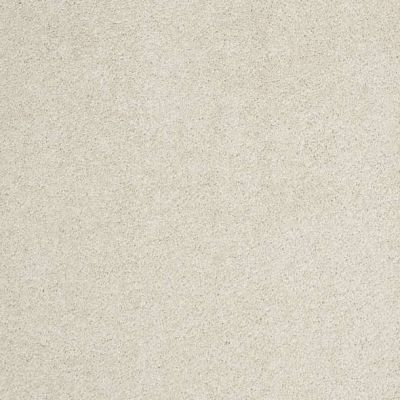 Caress By Shaw Floors Cashmere Classic II Cheviot CCS6900104