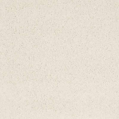 Caress By Shaw Floors Cashmere Classic Iv Icelandic CCS7100100